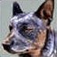 Dogsmall