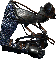 Barbarian Grey