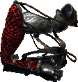 Barbarian Red