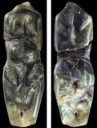 Hermaphrodite Venus