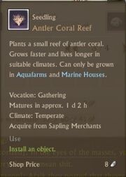 Antler coral reef