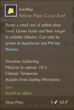 Yellow plate coral reef