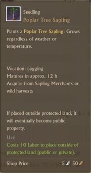 Popular tree-sapling