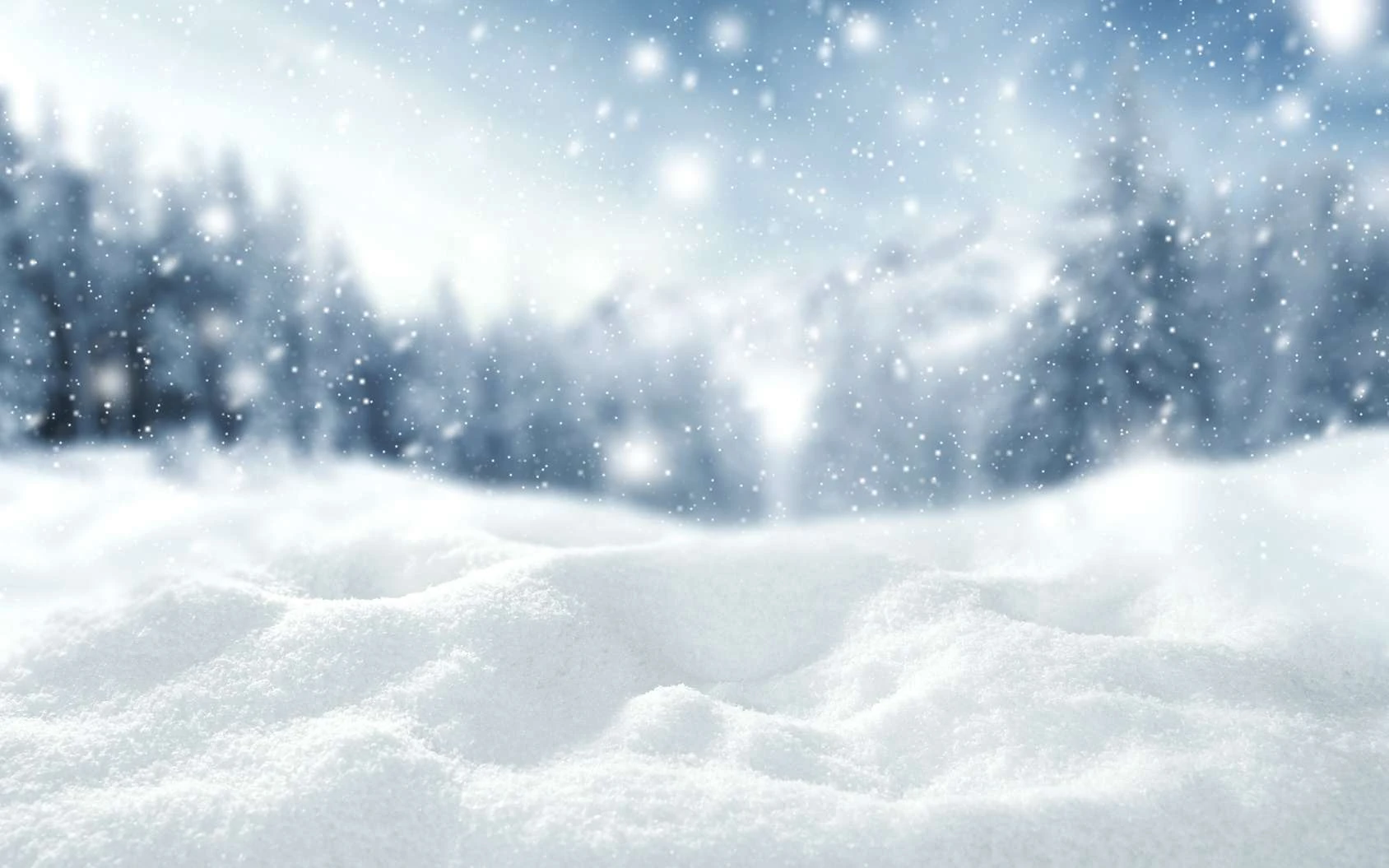 Clan De La Neige Wiki Archibaldwatypv Fandom