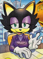 Sasha Cat