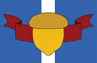 MobotropolisFlag