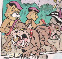Taz