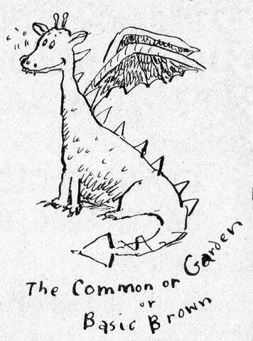 File:CommonGardenBasicBrown.jpg