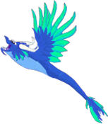 AirDragonAdult