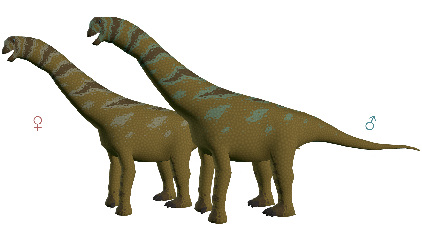 camarasaurus