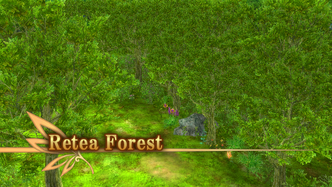 Retea Forest Intro