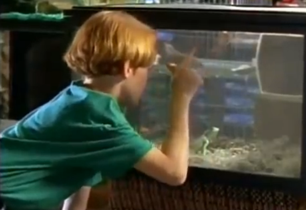 The Tale of the Chameleons | Are You Afraid of the Dark Wiki | FANDOM