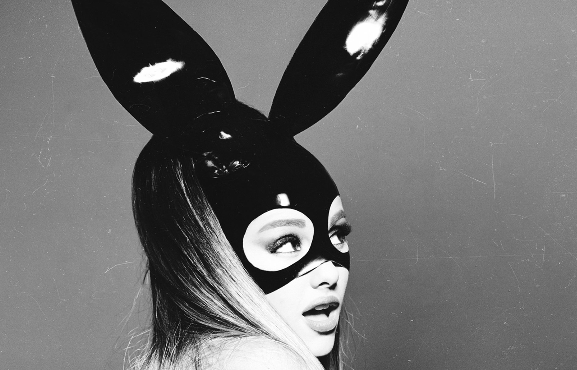 Bunny Mask Ariana Grande Digitalspaceinfo