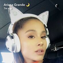 Brookstone Cat Ear Headphones Ariana Grande Wiki Fandom