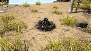 Campfire | ARK: Survival Plus Wikia | Fandom