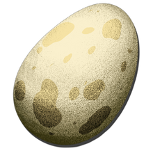 Egg Icon