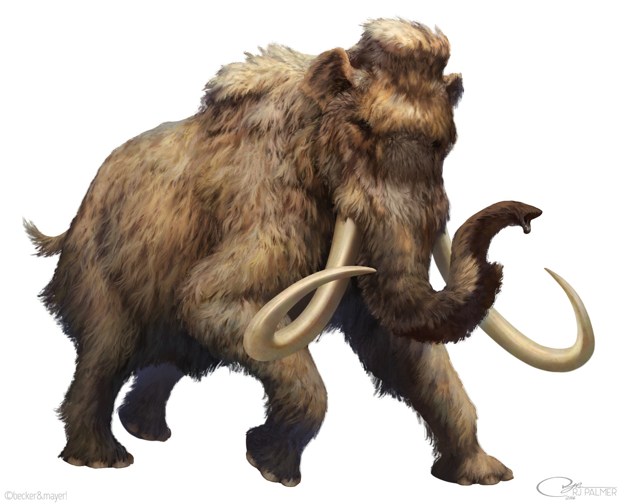 Mammoth | ARK: Survival Evolved Wiki | Fandom