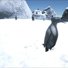 Kairuku Ark Survival Evolved Wiki Fandom