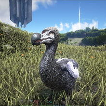 Dodo Ark Survival Evolved Wiki Fandom