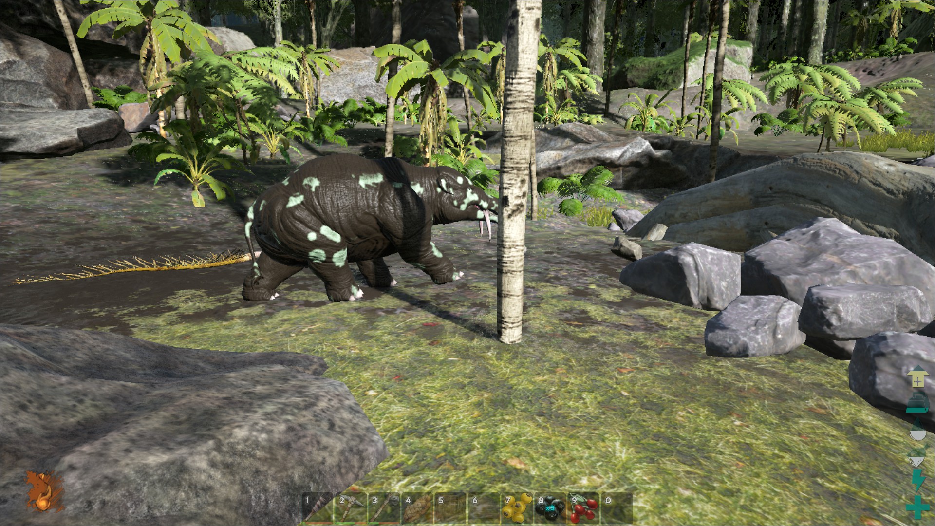 ark survival evolved phiomia