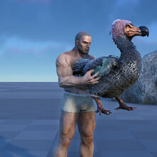 Dodo Ark Survival Evolved Wiki Fandom