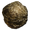 Human Feces