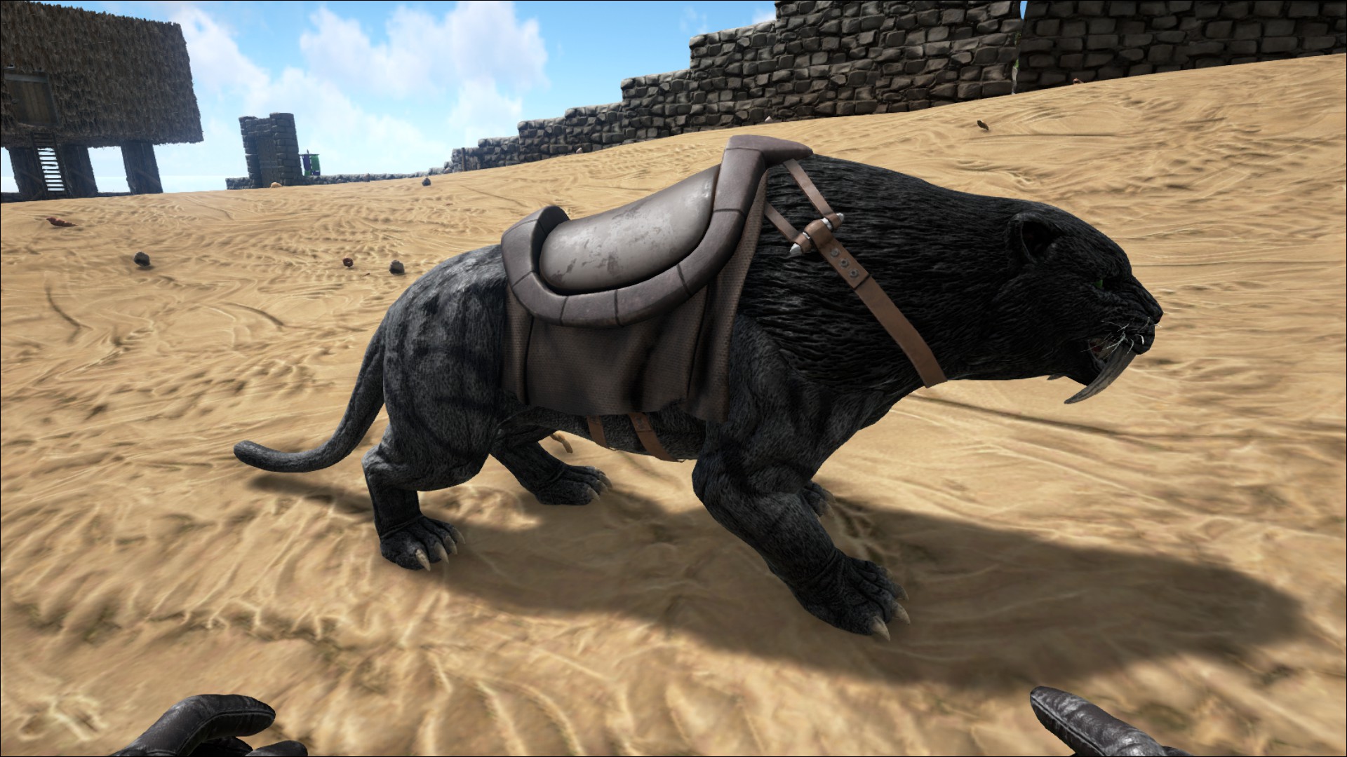 Ark survival evolved существа. Sabertooth АРК. Животные АРК сурвайвал. Ark Survival Evolved животные. Сумчатый Лев АРК.