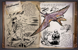 41 - Dimorphodon