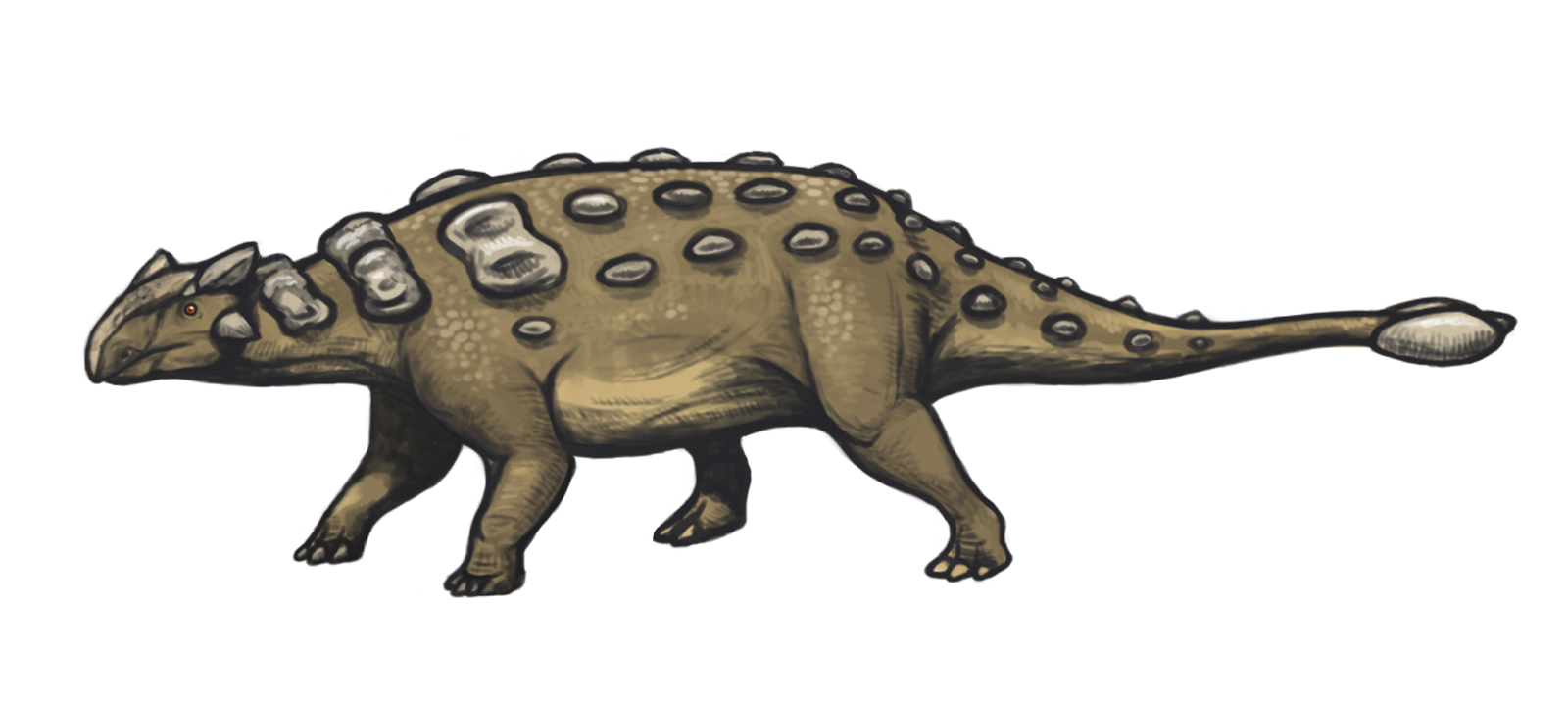 Ankylosaurus | ARK: Survival Evolved Wiki | Fandom
