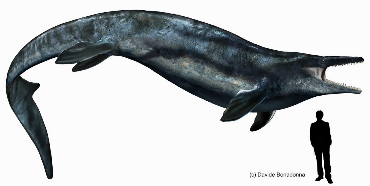 image mosasaur size comparison jpg ark survival evolved wiki mosasaurus size