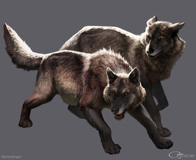 direwolf ark survival evolved
