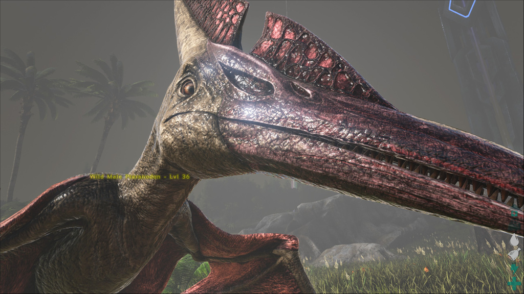 Ark Pteranodon Zähmen Ark Pteranodon Zähmen
