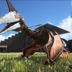 Quetzalcoatlus Ark Survival Evolved Wiki Fandom