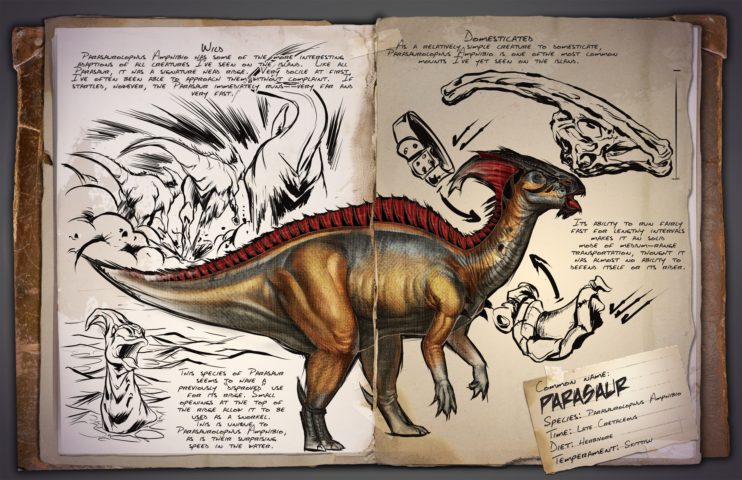 Parasaurolophus | ARK: Survival Evolved Wiki | Fandom