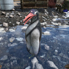 Kairuku Ark Survival Evolved Wiki Fandom