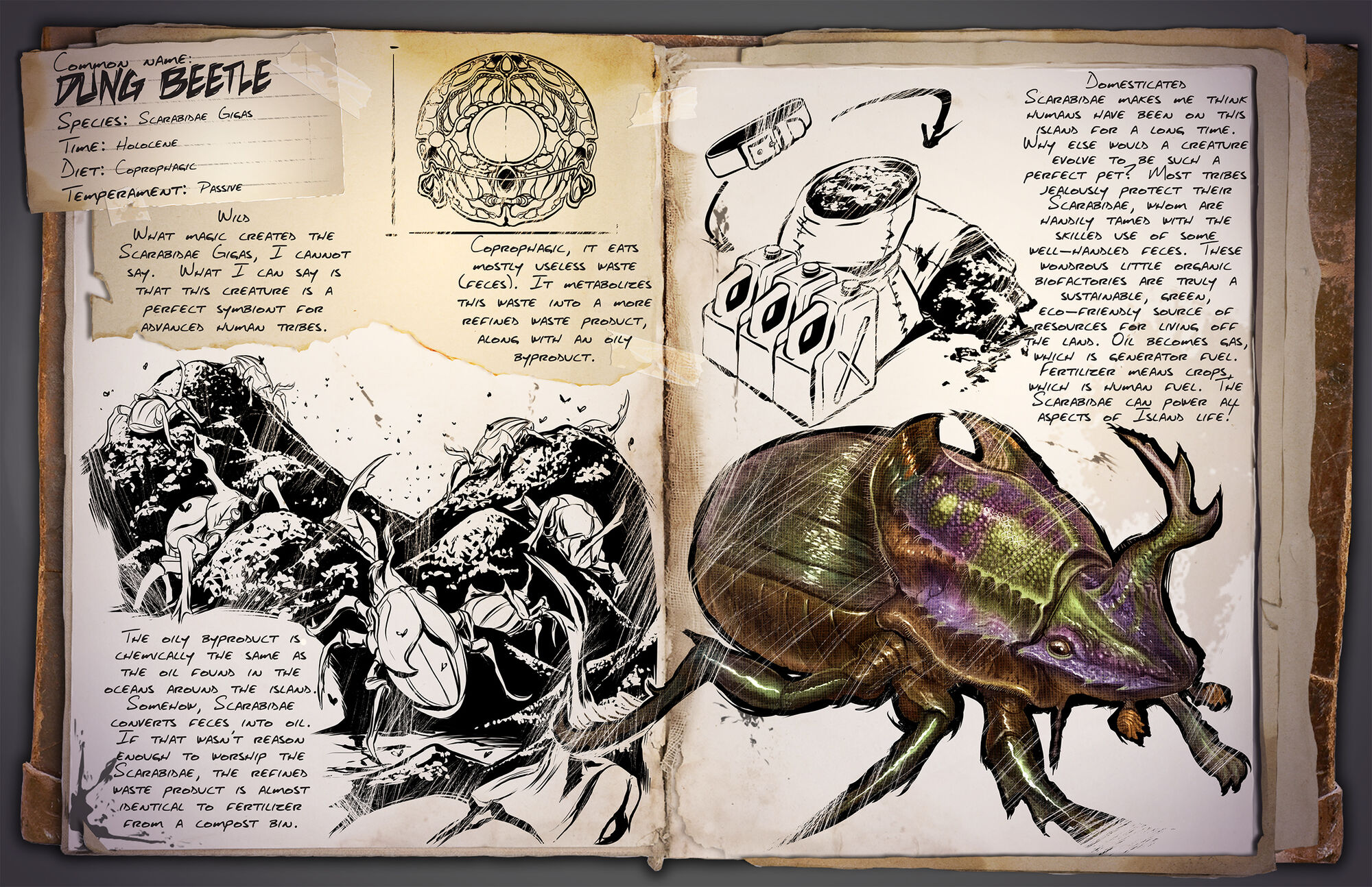 Dung Beetle ARK Survival Evolved Wiki Fandom
