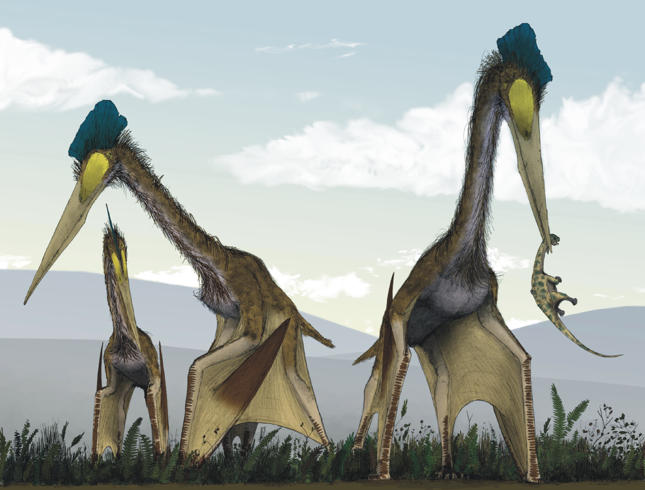 Quetzalcoatlus Ark Survival Evolved Wiki Fandom