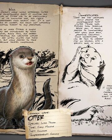 Otter | ARK: Survival Evolved Wiki | Fandom