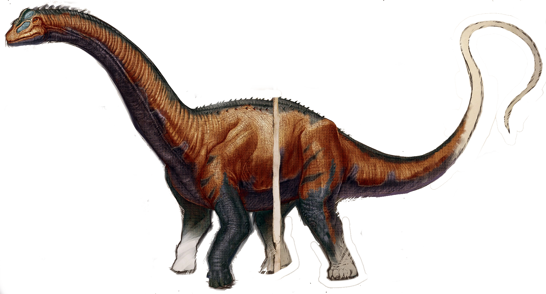 Image Brontosaurus2.png Wikia Ark Survival Evolved FANDOM