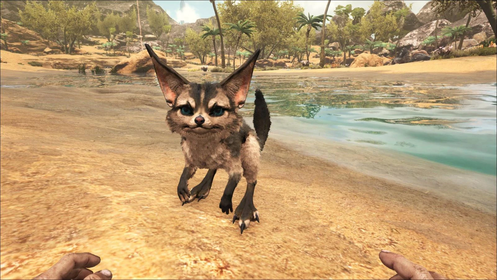 Изображение Jerboa ASIG.jpg ARK Survival Evolved вики FANDOM powered by Wikia