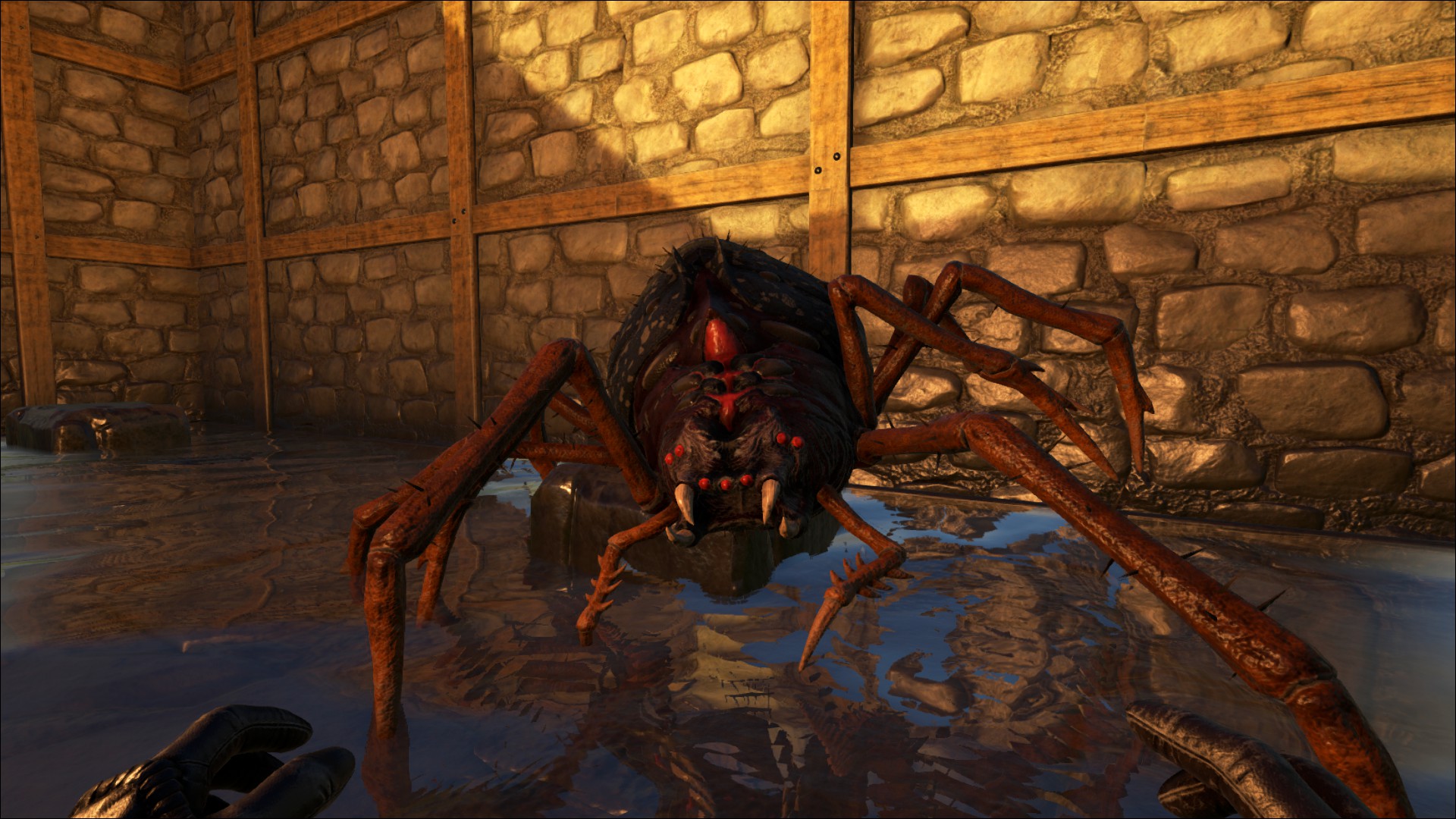 Image ARKAraneomorphus Screenshot 002.jpg ARK Survival Evolved Wiki FANDOM powered by Wikia