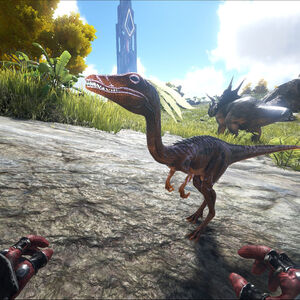 Triceratops Ark Survival Evolved Wiki Fandom
