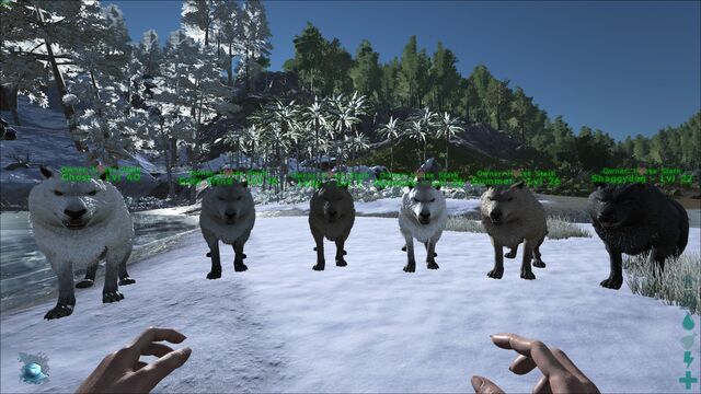 dire wolf ark new