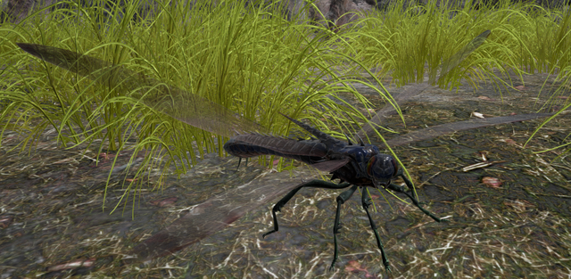 Файл:DragonflyASIG.png