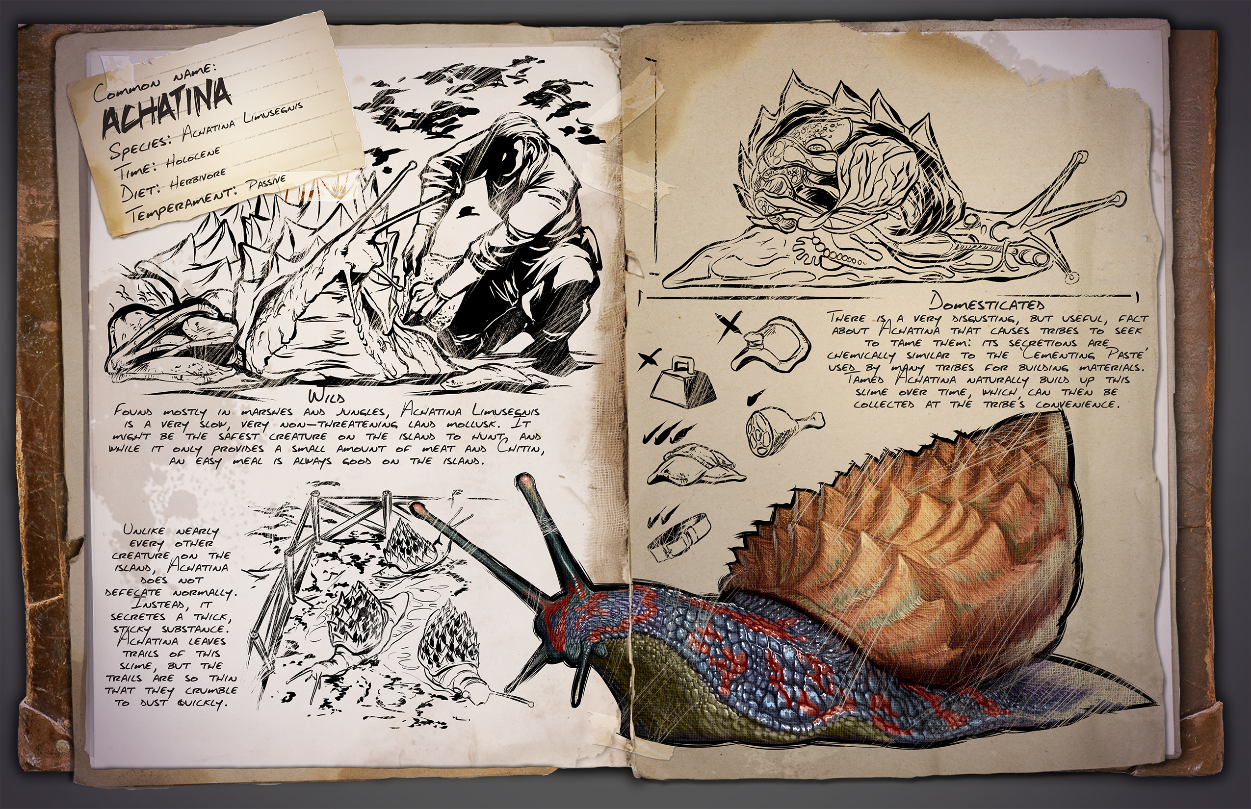 Achatina | ARK: Survival Evolved Wiki | Fandom