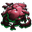Leech Blood