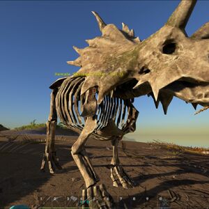 Triceratops Ark Survival Evolved Wiki Fandom