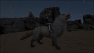 direwolf ark survival evolved