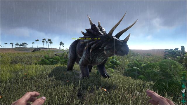 Image - ARK-Triceratops Screenshot 002.jpg | ARK: Survival Evolved Wiki ...