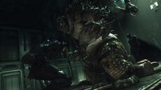 Batman Arkham City Assassin Porn - Killer Croc | Arkham Wiki | FANDOM powered by Wikia